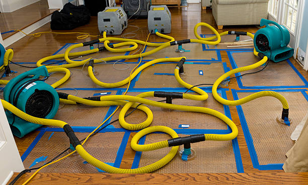 Professional Structural Drying And Dehumidification technician working in Troy, IL